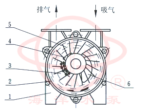 水環式真空泵及壓縮機工作原理圖