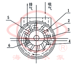 SK直聯水環式真空泵工作原理