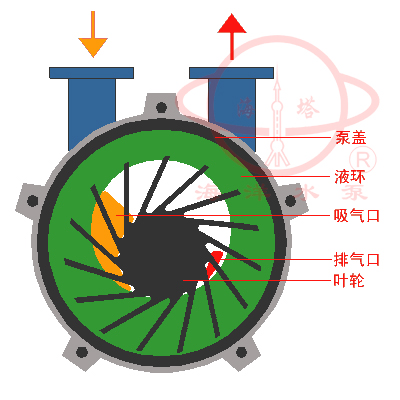 SKA(2BV)水環式真空泵結構圖及工作原理