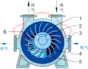 2BE1水環式真空泵示意圖